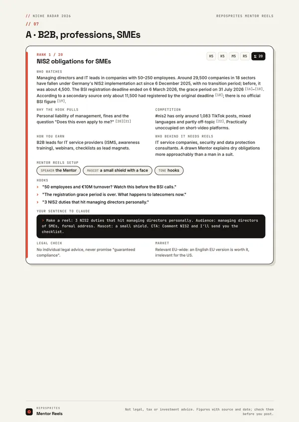 Page with a niche card, hooks and a ready-made prompt.