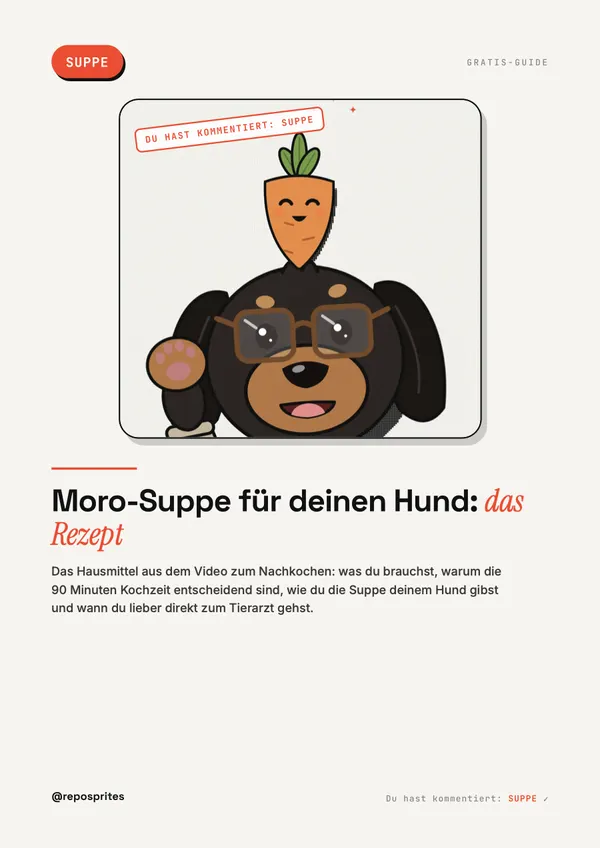 PDF cover: the dachshund with a carrot, title: Moro soup for your dog, the recipe.