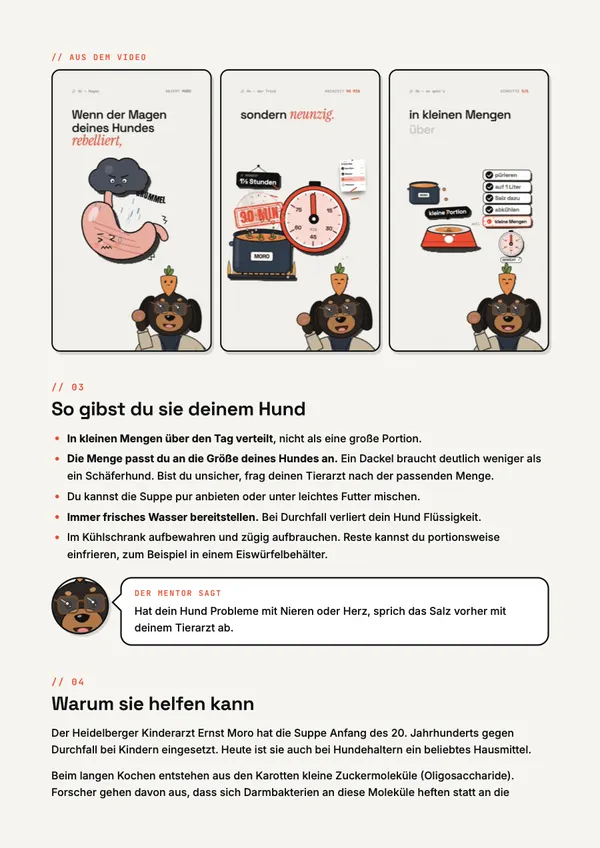 PDF page with frames from the video and feeding tips.